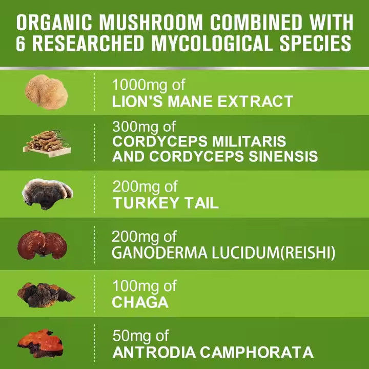 OEM Organic Lion's Mane Capsules with Turkey Tail Supplement hỗ trợ trí nhớ