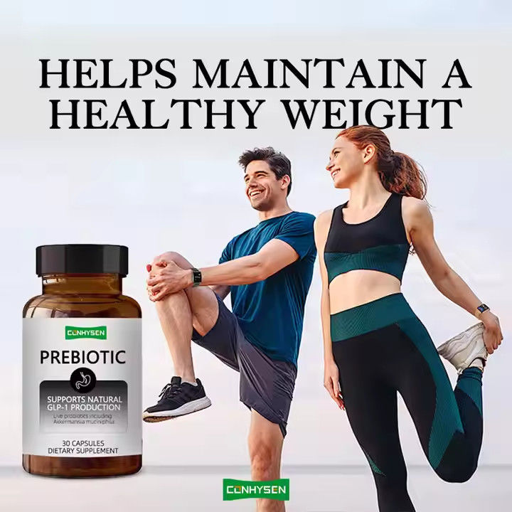 Prebiotic And Probiotic Capsules Mix Chicory Inulin Supplement Giữ cân nặng khỏe mạnh
