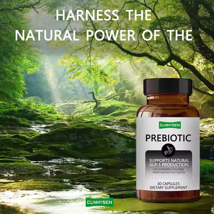 Prebiotic And Probiotic Capsules Mix Chicory Inulin Supplement Giữ cân nặng khỏe mạnh