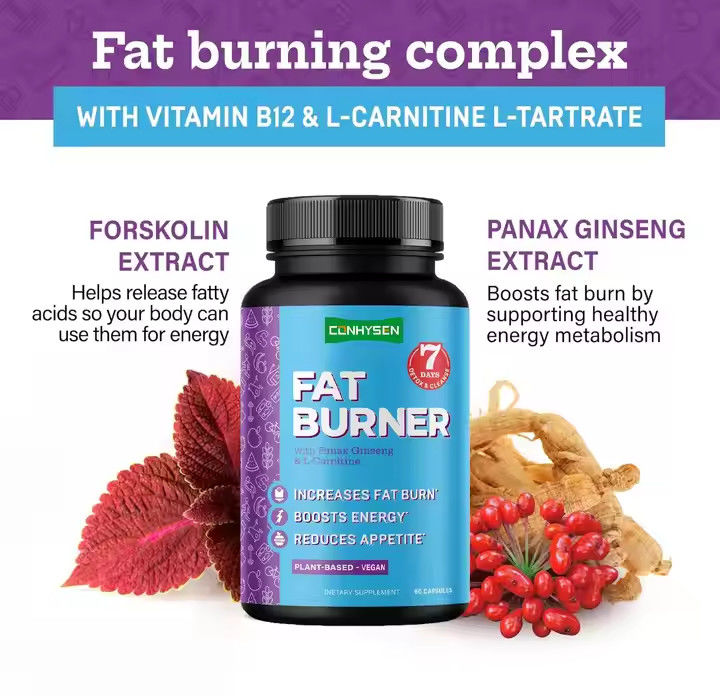 Các viên nang đốt cháy chất béo với vitamin B12 L-Carnitine L-Tartrate làm giảm sự thèm ăn