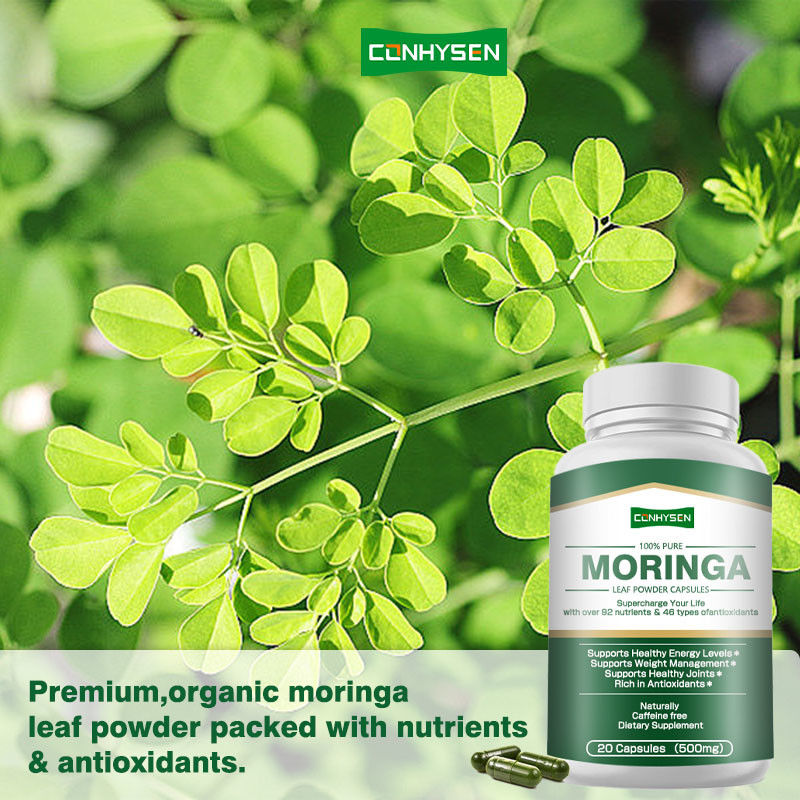 Viên nang Moringa nguyên chất 100% tùy chỉnh để hỗ trợ kiểm soát cân nặng và khớp khỏe mạnh