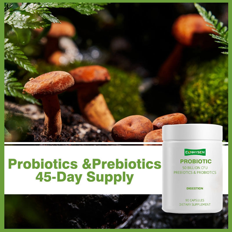 Viên nang men vi sinh nhãn riêng hỗ trợ tiêu hóa tốt hơn với hỗn hợp thực vật hữu cơ lên men