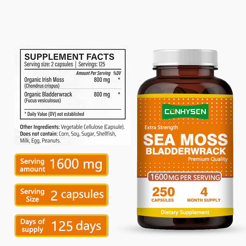 Good Quality Sea Moss Capsules GMO Free Bladderwrack Extract Capsule 1600mg Supports Gut Health
