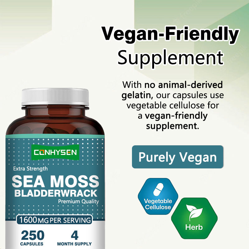 Viên nang Tảo Irish Moss Hữu Cơ Tăng Cường Sức Khỏe Đường Ruột Sản phẩm Chăm sóc Sức khỏe