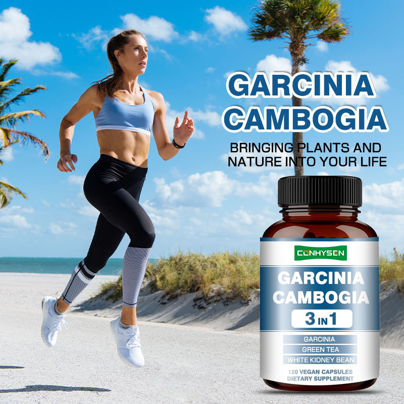 Viên nang Garcinia Cambogia tùy chỉnh cao cấp, Bổ sung Đậu thận trắng để sản xuất năng lượng