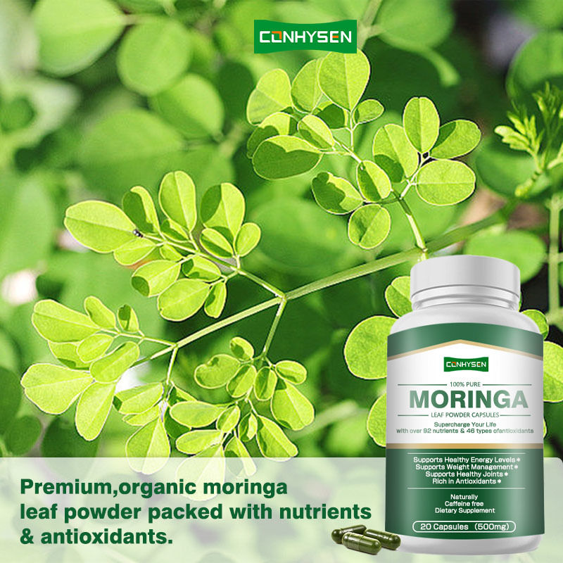 Các viên nang Moringa tùy chỉnh hỗ trợ tuyến tiền liệt khỏe mạnh với bột lá hơn 92 chất dinh dưỡng