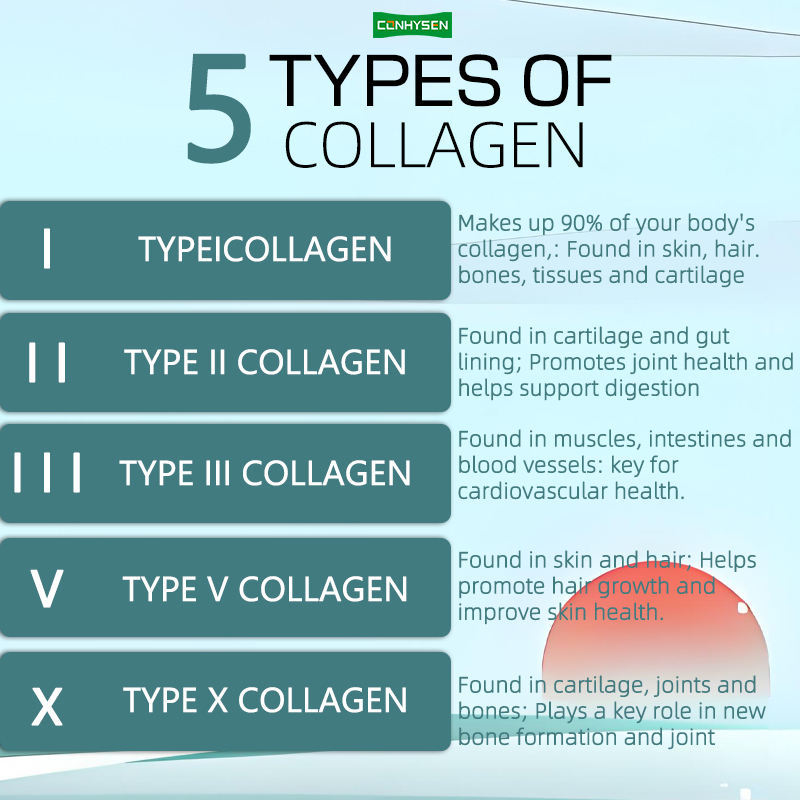 Viên nang phức hợp collagen đa dạng từ nhà máy cung cấp, thực phẩm bổ sung giúp tăng cường tóc và móng