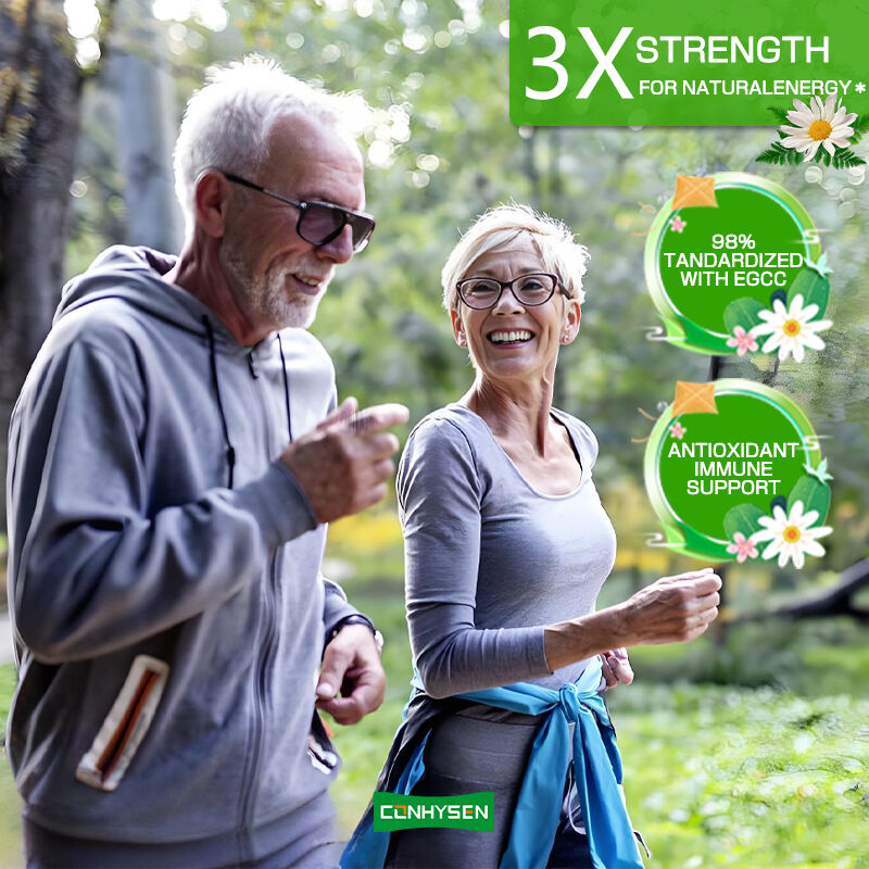 Nhãn hiệu riêng Green Tea Capsules giàu EGCG bổ sung chất chống oxy hóa hỗ trợ miễn dịch giảm cân giảm cân thuốc đốt cháy chất béo