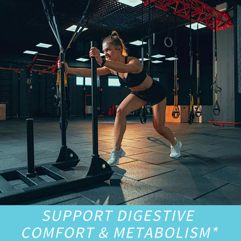 Nhãn riêng bổ sung chất xơ chế độ ăn uống chất đốt cháy chất béo viên nang sản phẩm làm đẹp bổ sung thuốc ức chế sự thèm ăn & tăng cường năng lượng