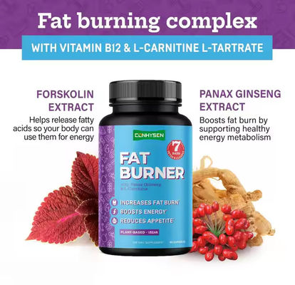Các viên nang đốt cháy chất béo với vitamin B12 L-Carnitine L-Tartrate làm giảm sự thèm ăn