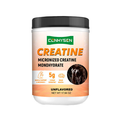 Nhà máy cung cấp bột Creatine hỗ trợ cơ bắp và phục hồi không có hương vị